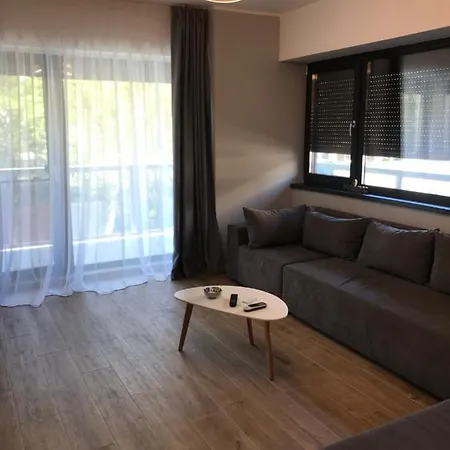 Apartament Concept *